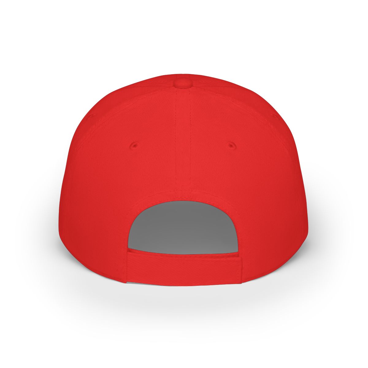 Salish Matter Cap #3 Baseball Hat - alternate angle 1, merchandise